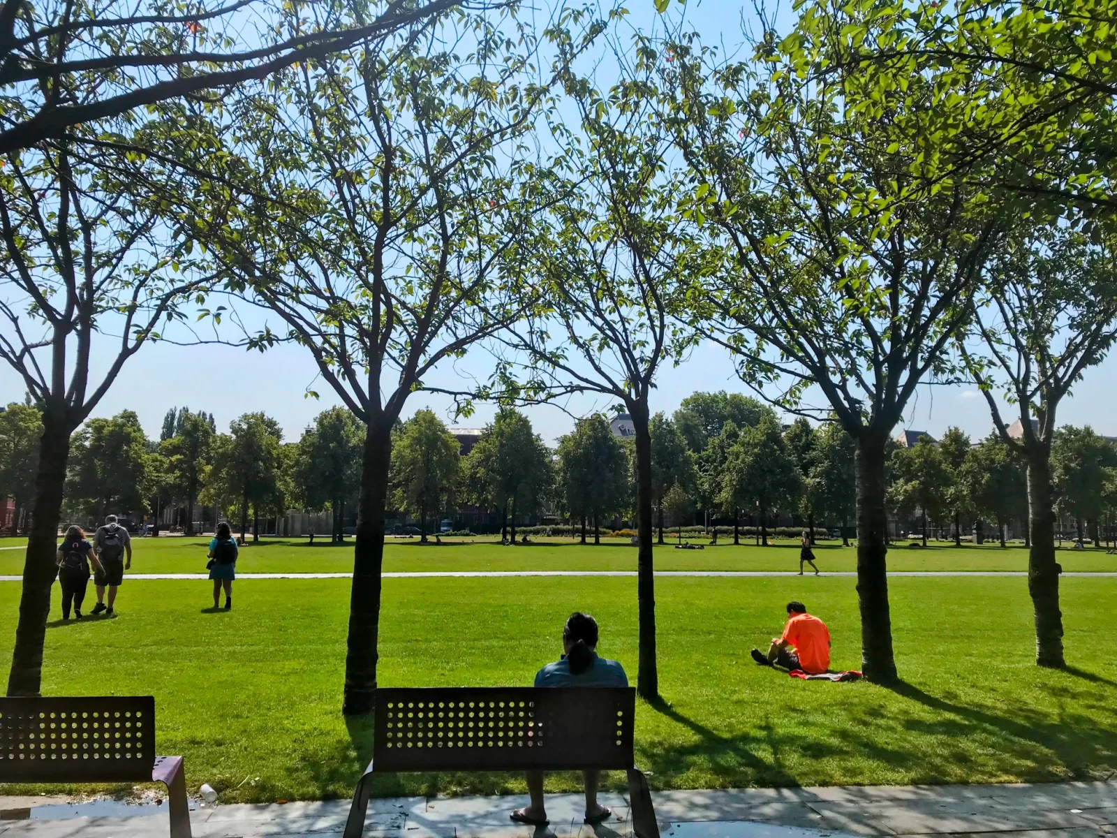 Park in Amsterdam, Netherlands
