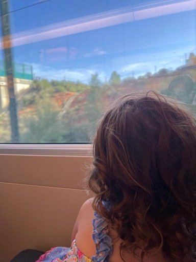train ride to Madrid, Spain