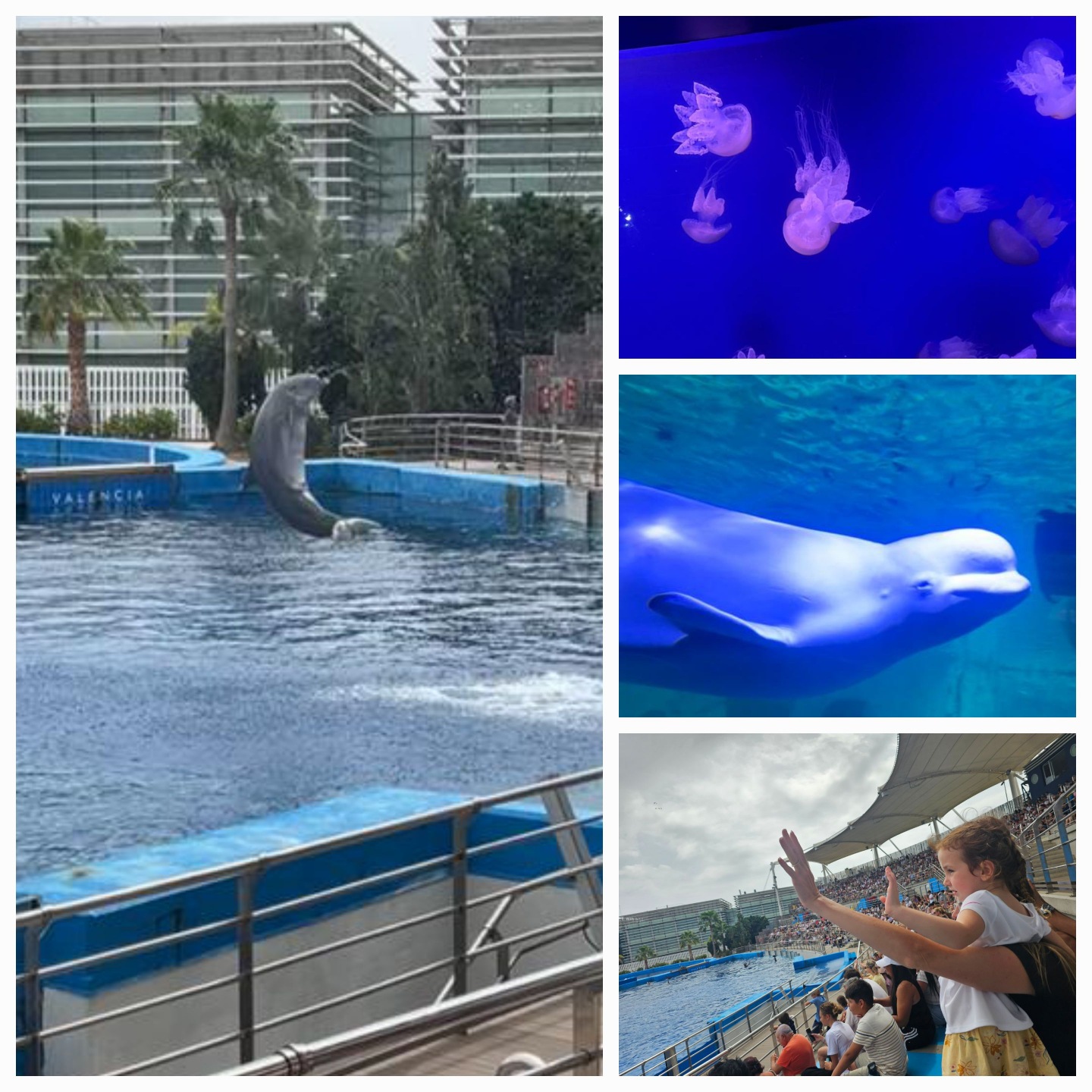 Oceanografic in Valencia, Spain