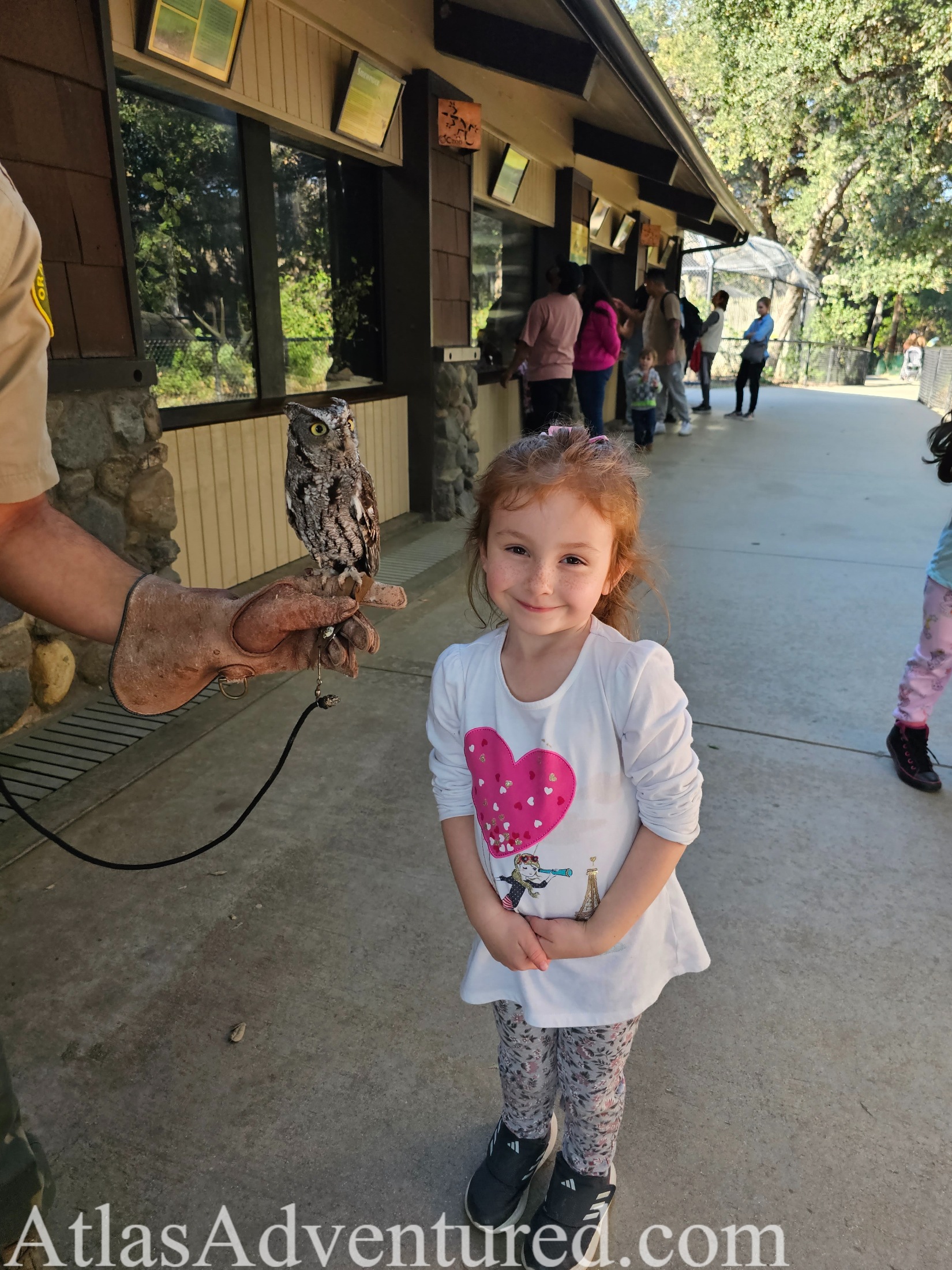 AtlasAdventured family up close with owls at the OC Zoo