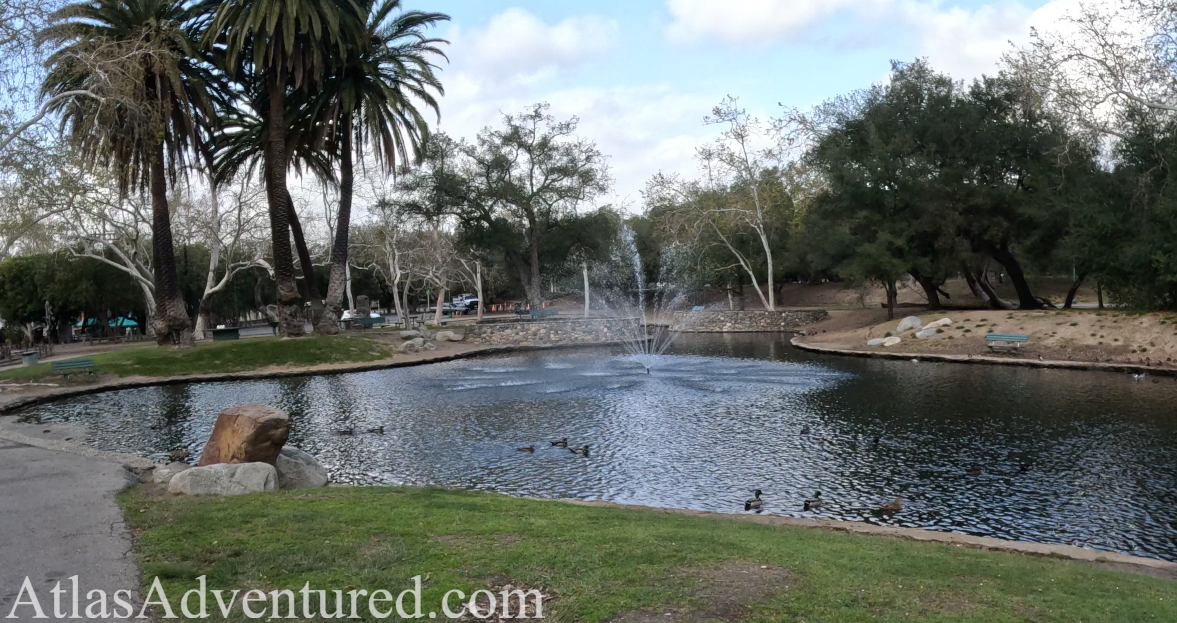 Relaxing pond filled with ducks at Irvine Regional Park