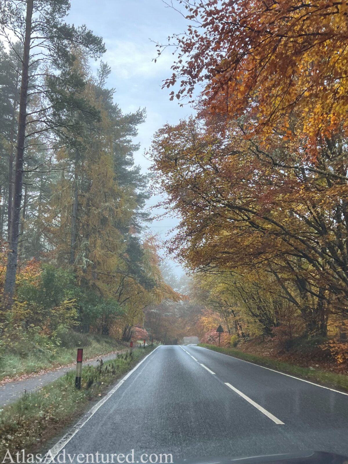 Foggy drive through Scotland