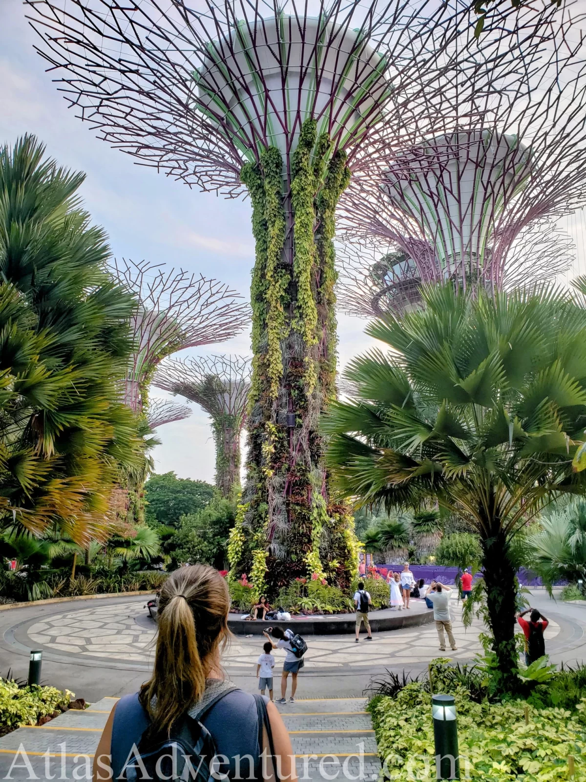 Gardens by the Bay in Singapore. Asia