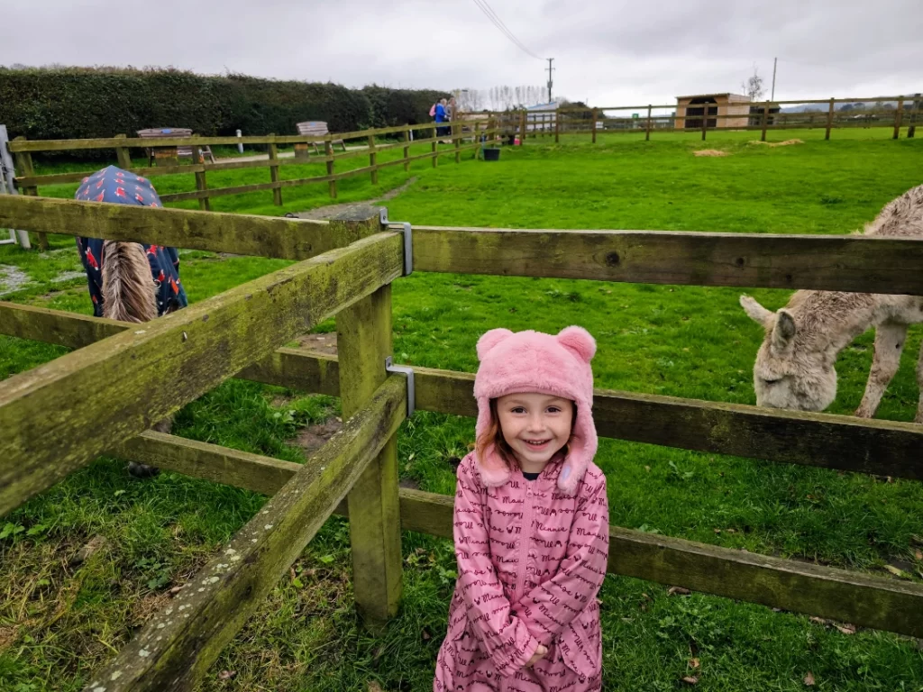 visiting the donkeys at the sanctuary!