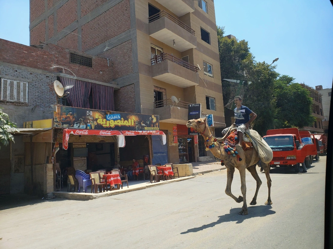 Hole in the wall restaurant in Cairo, Egypt with a guy riding his camel outside