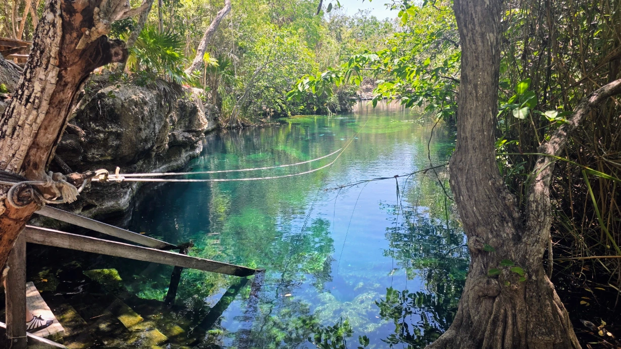 Cenote Escondido and Cenote Cristal are a great option if visiting Tulum, Mexico are since you get access to two cenotes for 1 ticket - TG