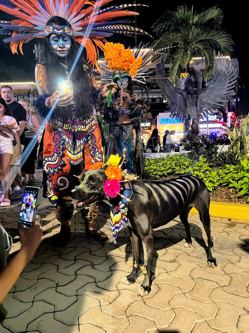 Even the dog dressed up on Dia de los Muertos in PDC Mexico