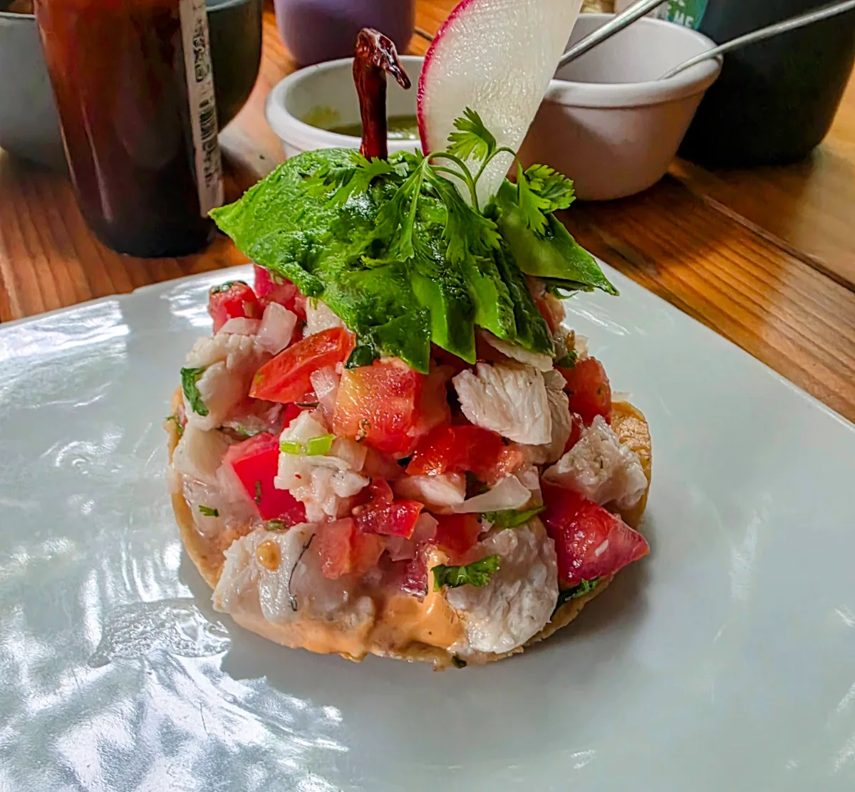 Ceviche from Cinco Pueblo in Tulum