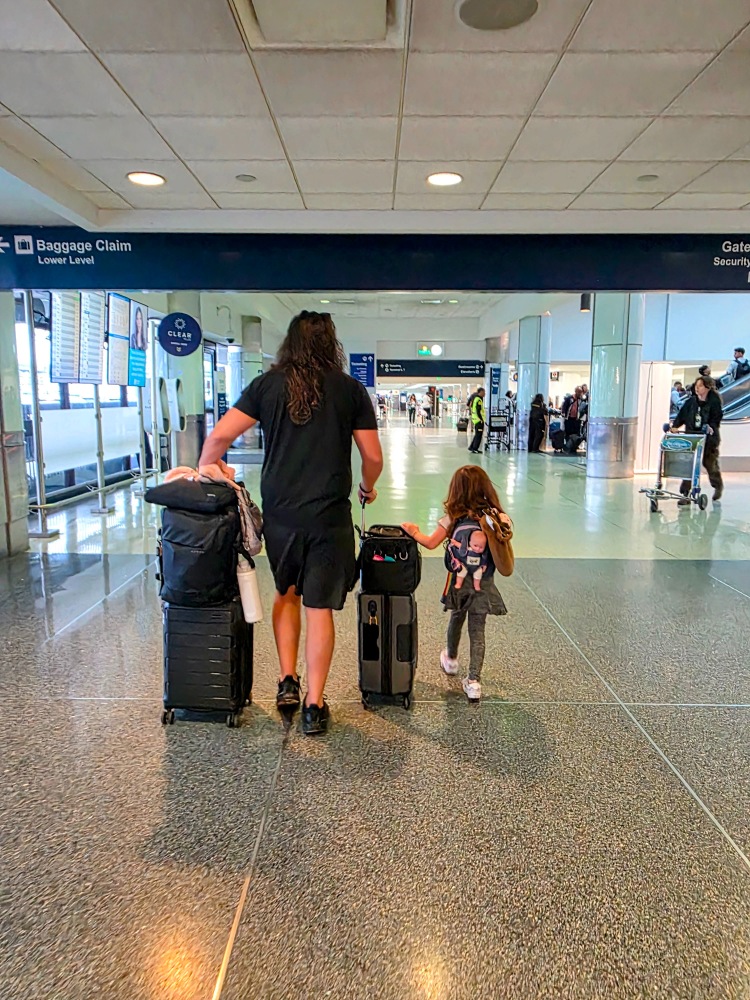 Traveling with pets to Mexico from LAX