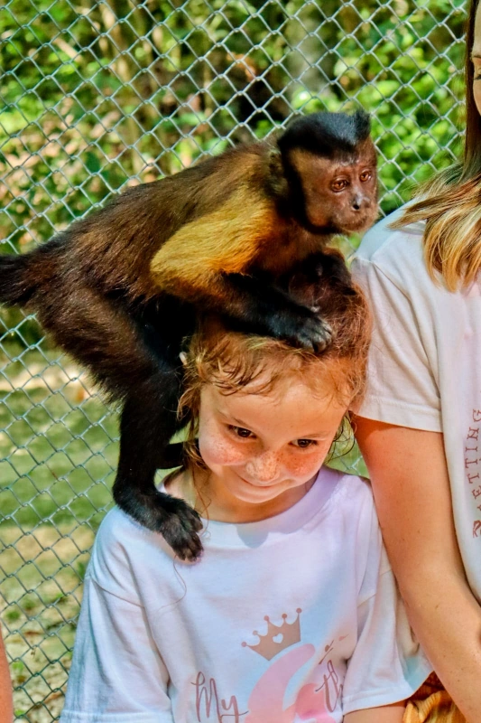 Capuchin monkey climbing on AtlasAdventured family at Akumal Monkey Sanctuary in Tulum Mexico