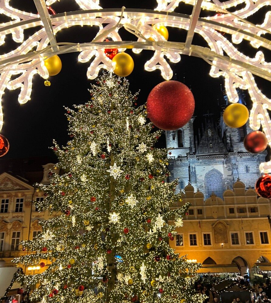 View of Tree at Prague Christmas Market in Czechia