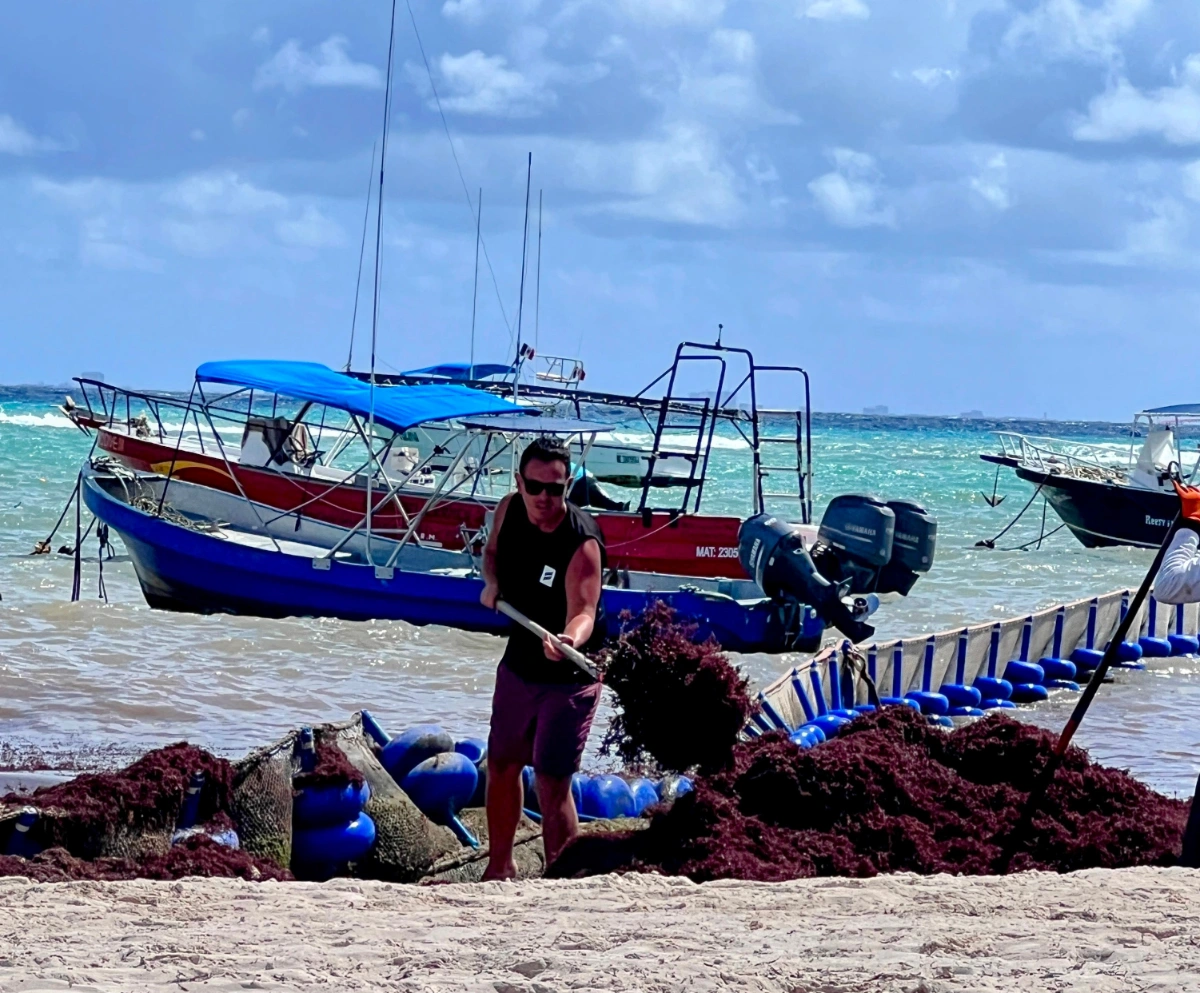 Shoveling sargassum in PDC Mexico, all part of sustainable travel and eco tourism.