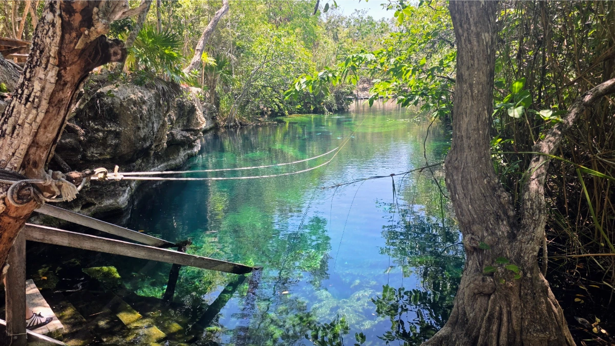 Cenote Escondido in Tulum, Mexico