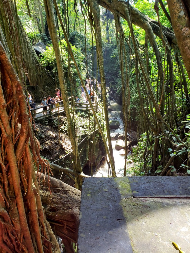 Ubud Bali 1 day Itinerary