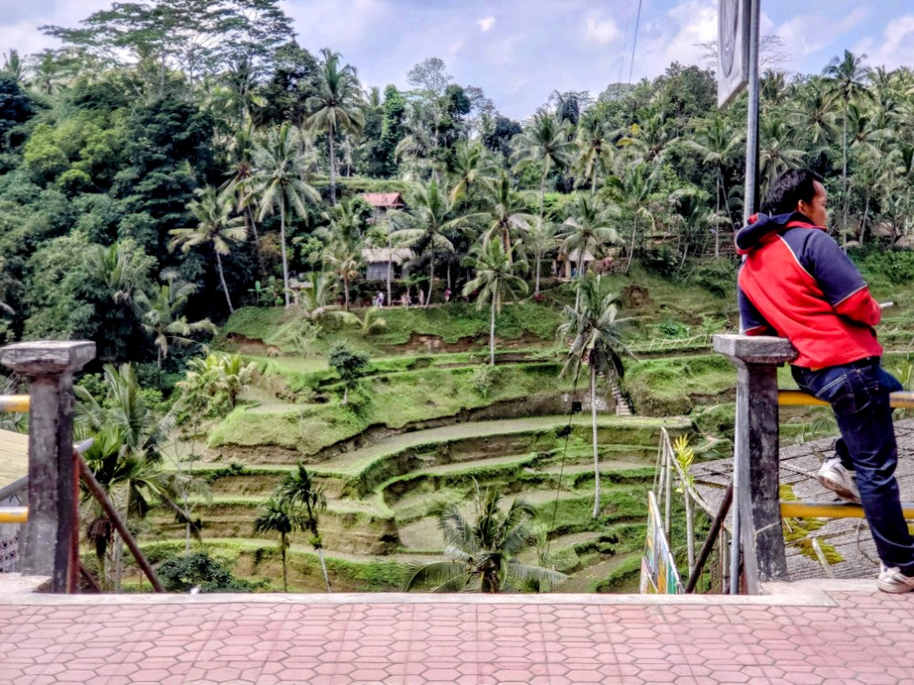 Tegalalang Rice Terrace in Ubud Bali