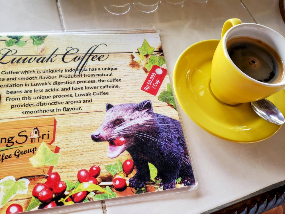 Luwak coffee Bali