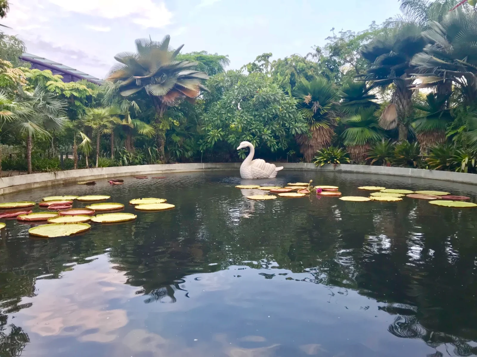 Singapore on a budget