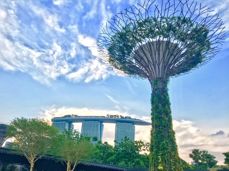 Singapore budget travel tips